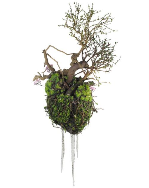 emeric chantier plant sculptures 11