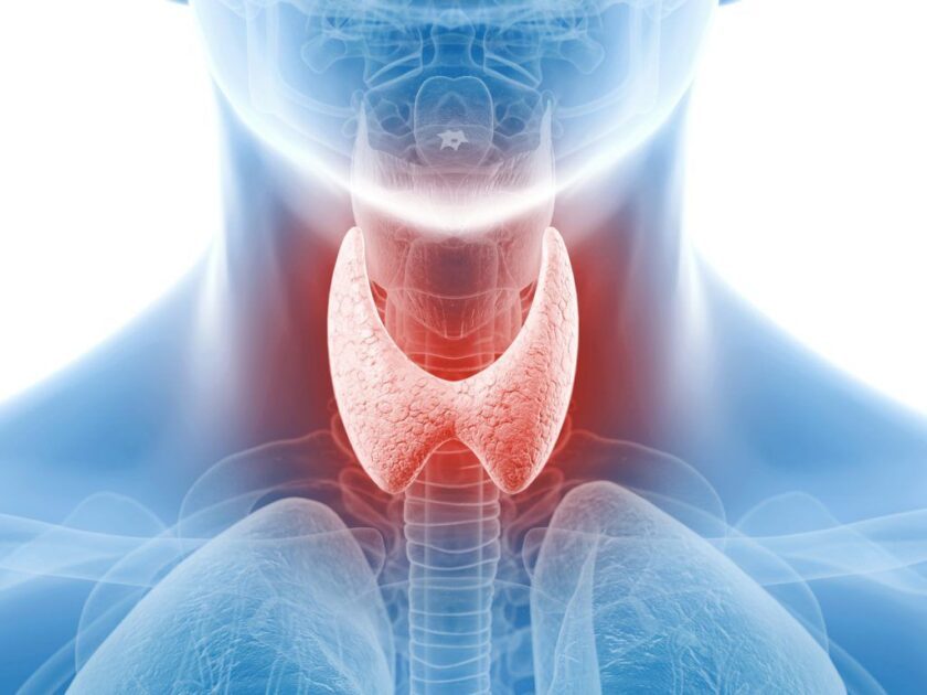 5 Things Older Adults Need to Know About Thyroid Disorders