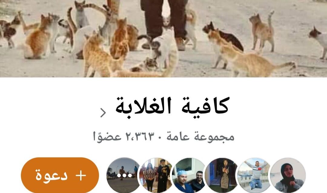 “كافية الغلابة”.. الخير في زمن السوشيال ميديا
