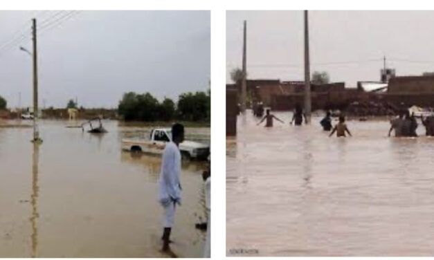 سيول السودان…. اسبابها وكيف تكون خيرًا لمصر ؟