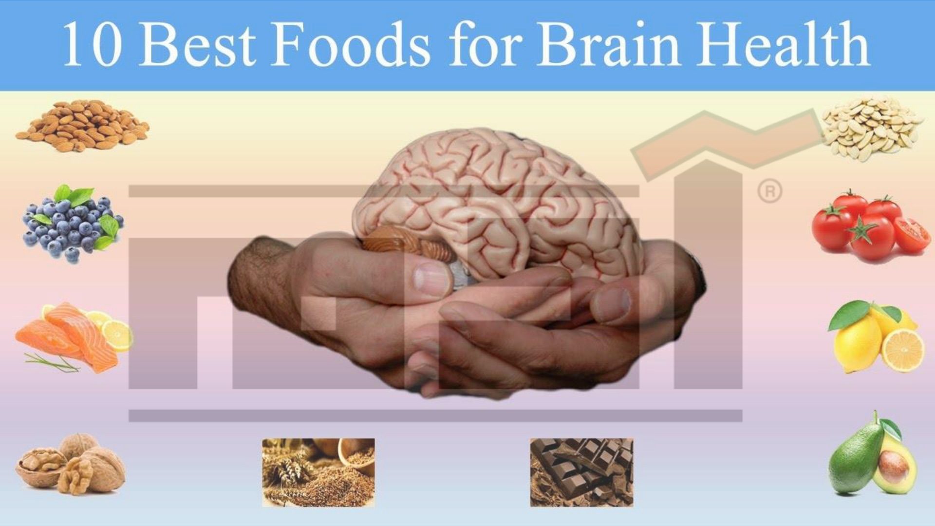 المخ والذاكرة .. أطعم مخك جيدا من أجل ذاكرة أفضل 1 المخ , أفضل 10 أطعمة لصحة المخ