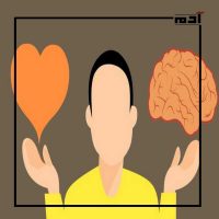 مكونات الإنسان