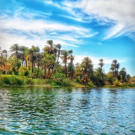 صعيد مصر حامي التاريخ والحضارة على مر العصور 1 images 22