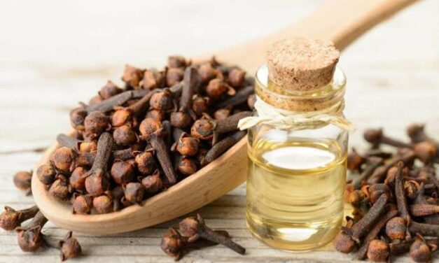 فوائد القرنفل للفم 5 فوائد تعرف عليها الآن