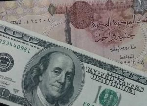 سعر الدولار