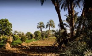 مدينة التاريخ.. إليك أجمل 17 مكانا من الأماكن السياحية في الأقصر 7 منتزه الندى لاند