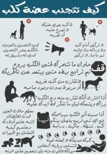 10 خطوات لتجنب عضة الكلب 5 تجنب عضة الكلب