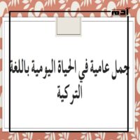 اللغة العامية.. بين المصرية والتركية 3 اللغة العامية المصرية
