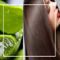 الصبار للشعر.. فوائد مدهشة لتعزيز صحة الشعر 1 فوائد الصبار للشعر