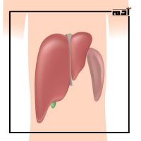 أنيميا البحر المتوسط.. الأسباب والأعراض والعلاج 5 مضاعفات إهمال العلاج