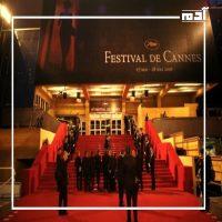 مهرجان كان السينمائي.. 77 عاما من الابداع الفني 1 مهرجان كان السينمائي