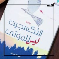 الروائية هبة أبو ندى.. حلم الحرية الذي لم يتحقق 2 إنجازات هبة أبو ندى