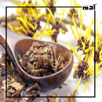 وداعًا للكريمات الكيميائية.. إليك علاج الإكزيما بالأعشاب 4 زهرة الربيع المسائية