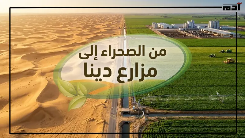 تحويل الصحراء إلى أراض زراعية في مزارع دينا