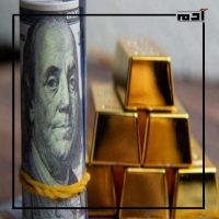 روماني عيسى.. من إمبراطور الذهب إلى قفص الاتهام 2 مخالفات روماني عيسي سبب القبض عليه