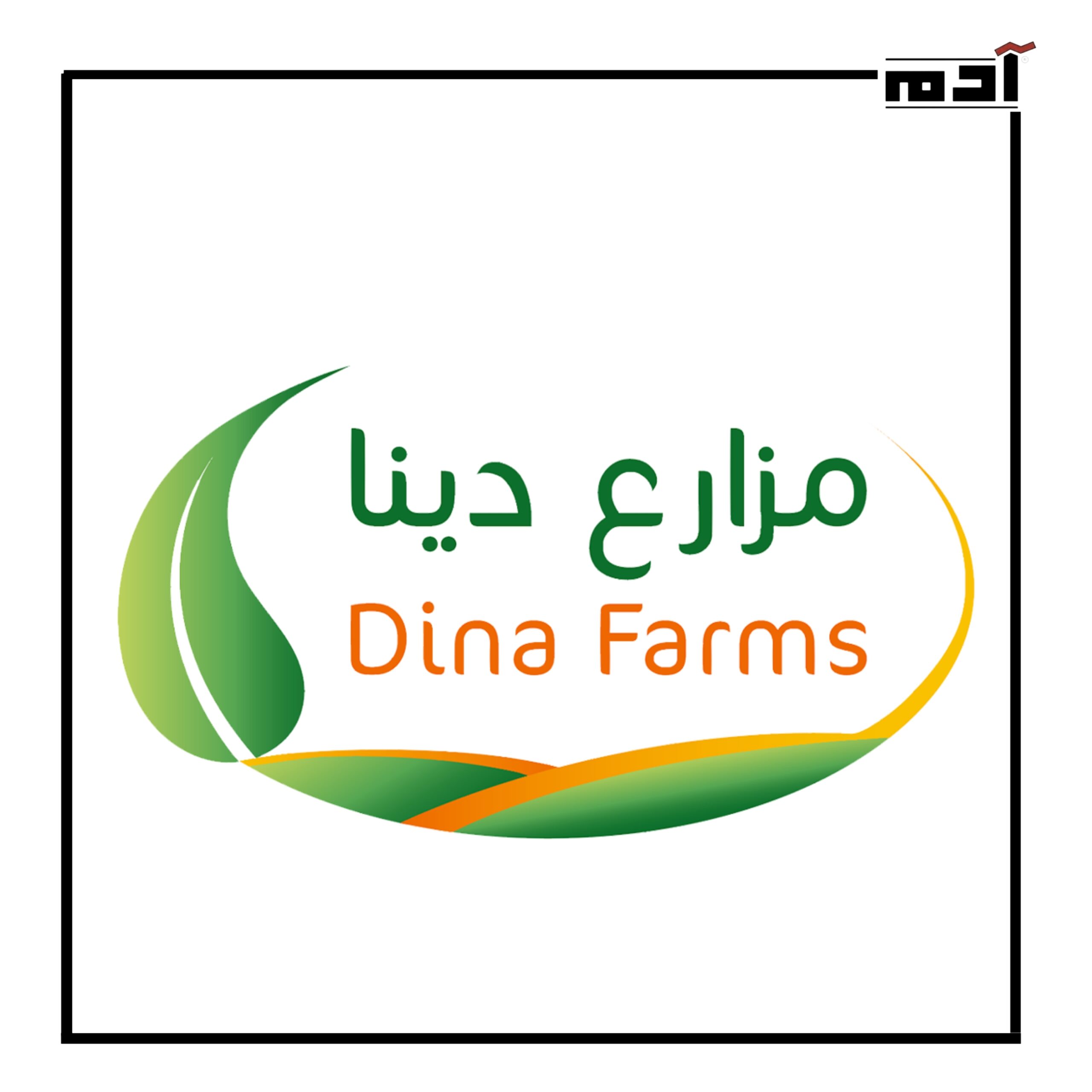 مزارع دينا.. ألبان بجودة عالمية تحكي قصة الإبداع المصري