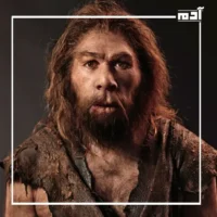 الماضي المجهول.. كيف كشف العلماء عن إنسان النياندرتال وأعادوا تجسيده؟ 2 ما هو إنسان النياندرتال؟