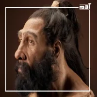 الماضي المجهول.. كيف كشف العلماء عن إنسان النياندرتال وأعادوا تجسيده؟ 3 صفات إنسان نياندرتال