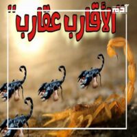أمثال شعبية خطأ.. هل كتر السلام يقل المعرفة؟ 3 الأقارب عقارب