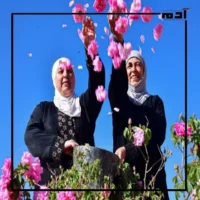 الوردة الدمشقية.. من الحقول السورية إلى قائمة التراث العالمي 3 مهرجان الوردة الدمشقية
