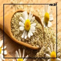 أكثر من مجرد عشبة.. اكتشف فوائد البابونج المذهلة 1 البابونج ومادة الأبيجنين
