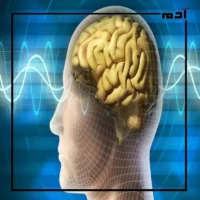 الرياضة والدماغ.. كيف تعزز التمارين الأداء العقلي والذكاء؟ 1 تحسين وظائف الدماغ