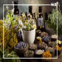 النباتات العطرية.. جمال الطبيعة الخفي وفوائدها العلاجية الفريدة 3 فوائد استخدام النباتات الطبية