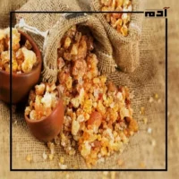 الصمغ العربي.. كنز طبيعي لعلاج القولون العصبي وحرق الدهون 1 مما يتكون الصمغ العربي؟
