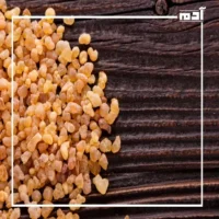 الصمغ العربي.. كنز طبيعي لعلاج القولون العصبي وحرق الدهون 2 فوائد الصمغ العربي للقولون العصبي