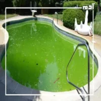مخاطر أمنية وصحية.. إهمال صيانة حمامات السباحة كارثة تهدد السباحين في الصيف 1 المشكلات التي تنشأ عن إهمال صيانة حمامات السباحة