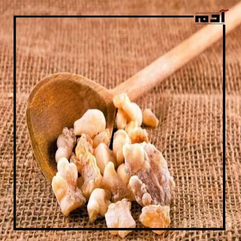 لبان الذكر.. اكتشفي فوائده الطبية والتجميلة