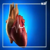 إشارات لا تتجاهلها.. إليك أبرز أعراض التهاب عضلة القلب 2 علاج التهابات عضلة القلب