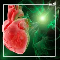 إشارات لا تتجاهلها.. إليك أبرز أعراض التهاب عضلة القلب 3 التعافي من التهاب عضلة القلب