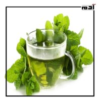 وداعًا للأدوية الكيميائية.. اكتشف فوائد النعناع للجسم والبشرة 1 معالجة الكثير من مشاكل الجهاز الهضمي