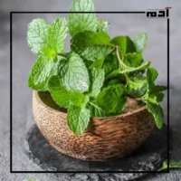 وداعًا للأدوية الكيميائية.. اكتشف فوائد النعناع للجسم والبشرة 2 خفض ضغط الدم