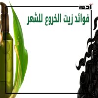 فوائد زيت الخروع للشعر.. الحل السحري لنمو وتقوية شعرك 1 ما أهم فوائد زيت الخروع للشعر؟
