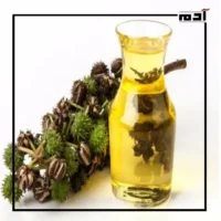 فوائد زيت الخروع للشعر.. الحل السحري لنمو وتقوية شعرك 3 طريقة استخراج زيت الخروع