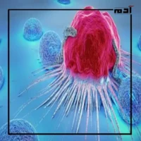الكيفيران القلوي لعلاج السرطان.. أمل جديد للقضاء على المرض 2 آليات عمل الكيفيران القلوي لعلاج السرطان