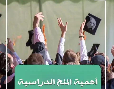 أهمية المنح الدراسية.. كيف تستغلها لتحقيق أهدافك الأكاديمية؟