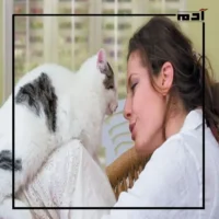 العلاقة بين القطط وإصابة البنات بالعقم.. حقيقة علمية أم خرافة؟ 1 العلاقة بين القطط وإصابة البنات بالعقم
