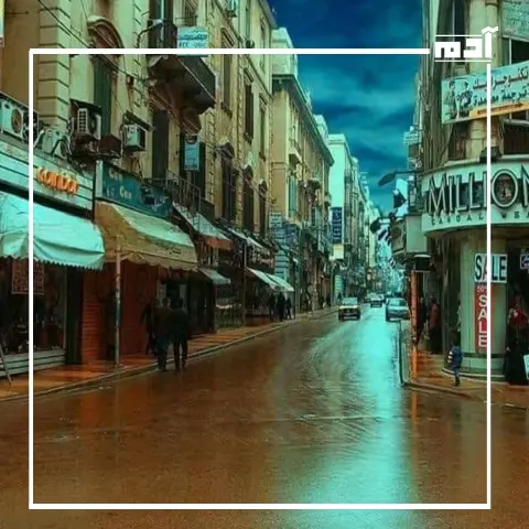 شارع النبي دانيال في الإسكندرية.. ملاذ الكتب المستعملة والتاريخ