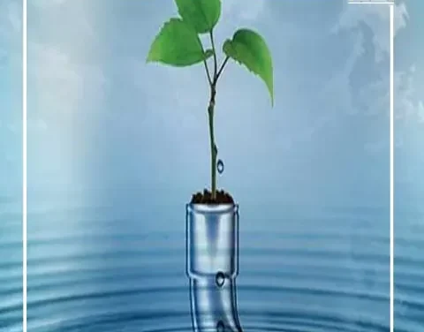 مفتاح الحياة والصحة.. تعرف على أهمية وجود الماء في حياتنا