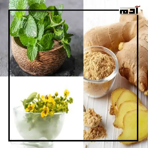 راحة هضمية.. أفضل 3 أعشاب لعلاج الإمساك المزمن