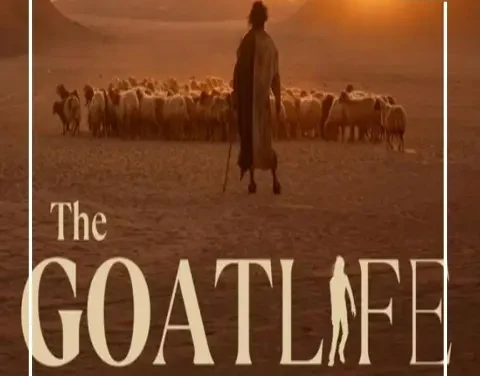 فيلم حياة الماعز.. بين الدراما الإنسانية والأزمة الثقافية