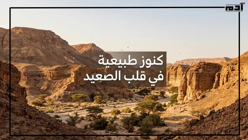 أبرز المحميات الطبيعية في صعيد مصر