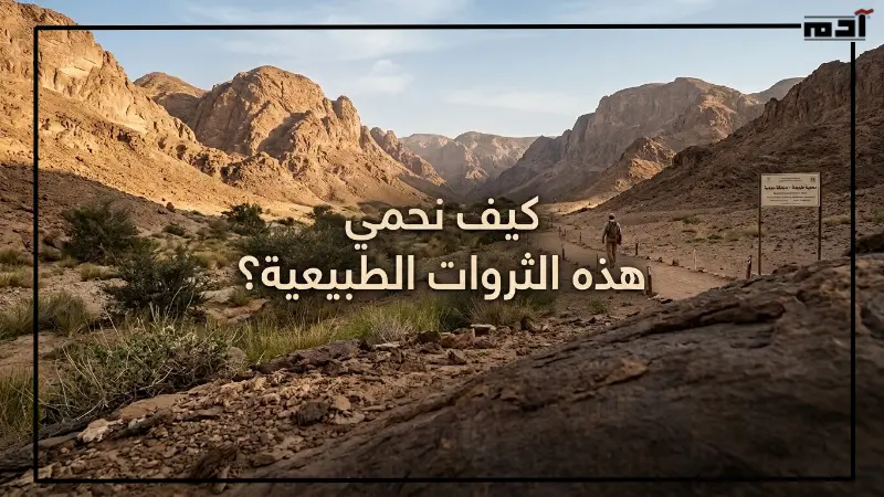 التحديات التي تواجه المحميات الطبيعية في صعيد مصر