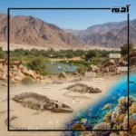 المحميات الطبيعية في صعيد مصر