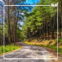 المحميات الطبيعية في بلاد الشام.. كنوز خفية تنتظر استكشافك 1 محمية جبل النبي متّى في سوريا