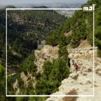 المحميات الطبيعية في بلاد الشام.. كنوز خفية تنتظر استكشافك 2 محمية وادي القف في فلسطين