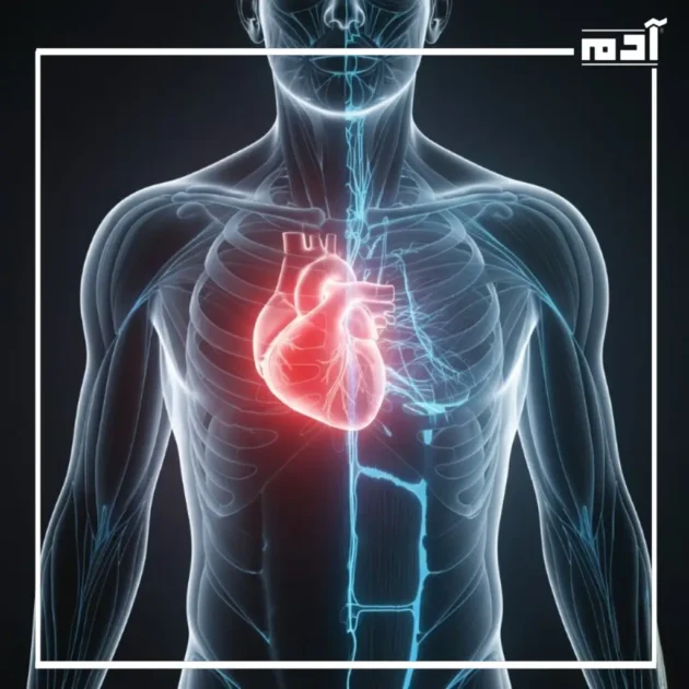 أنواع وأسباب وجع الصدر